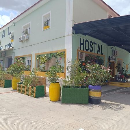 Hostal Fuente Del Pino 胡米利亚 外观 照片