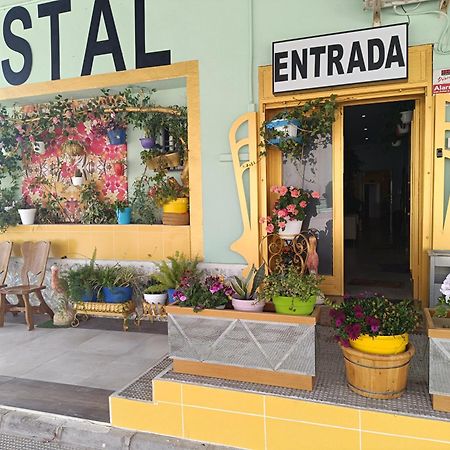 Hostal Fuente Del Pino 胡米利亚 外观 照片