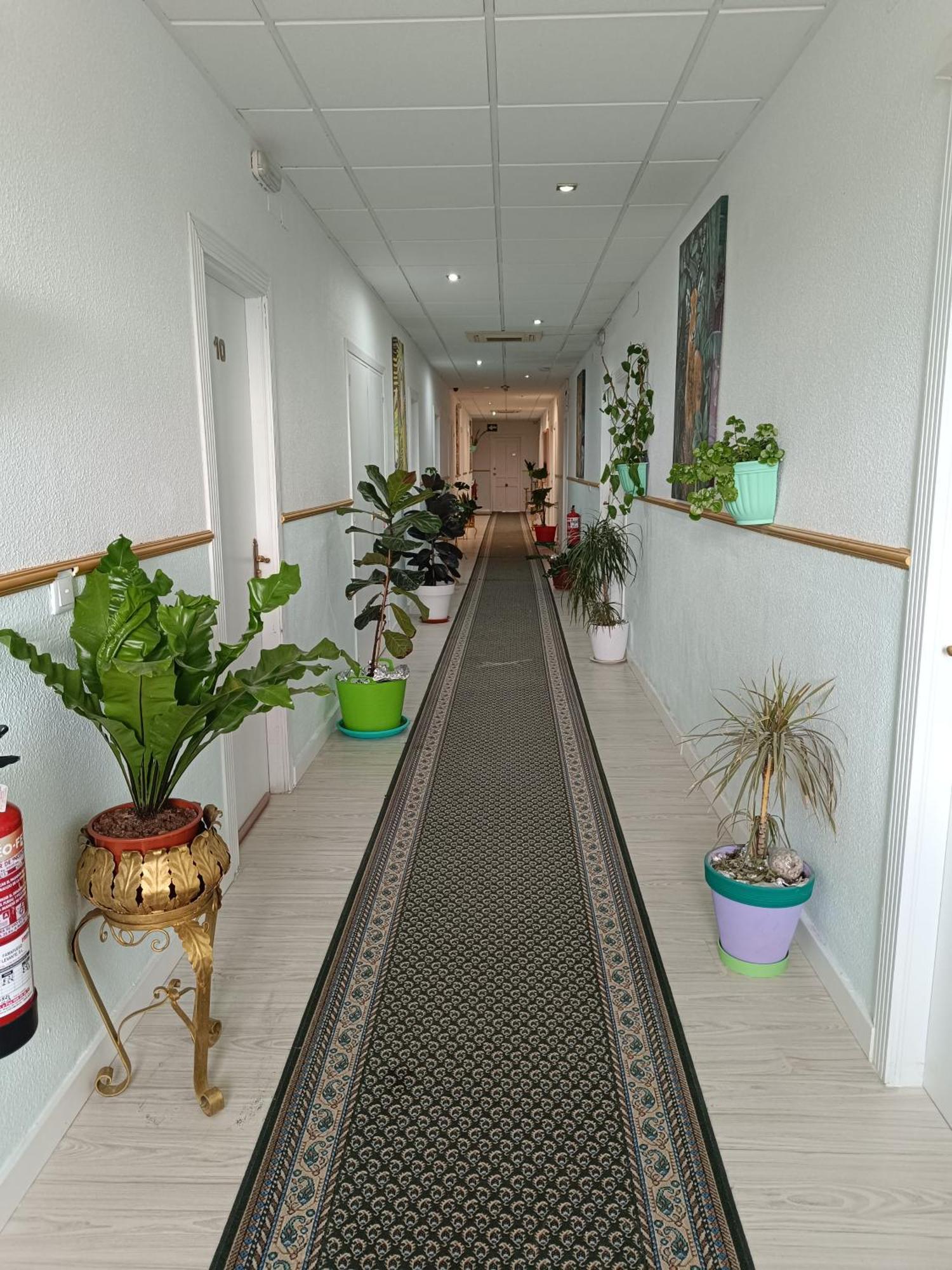 Hostal Fuente Del Pino 胡米利亚 外观 照片