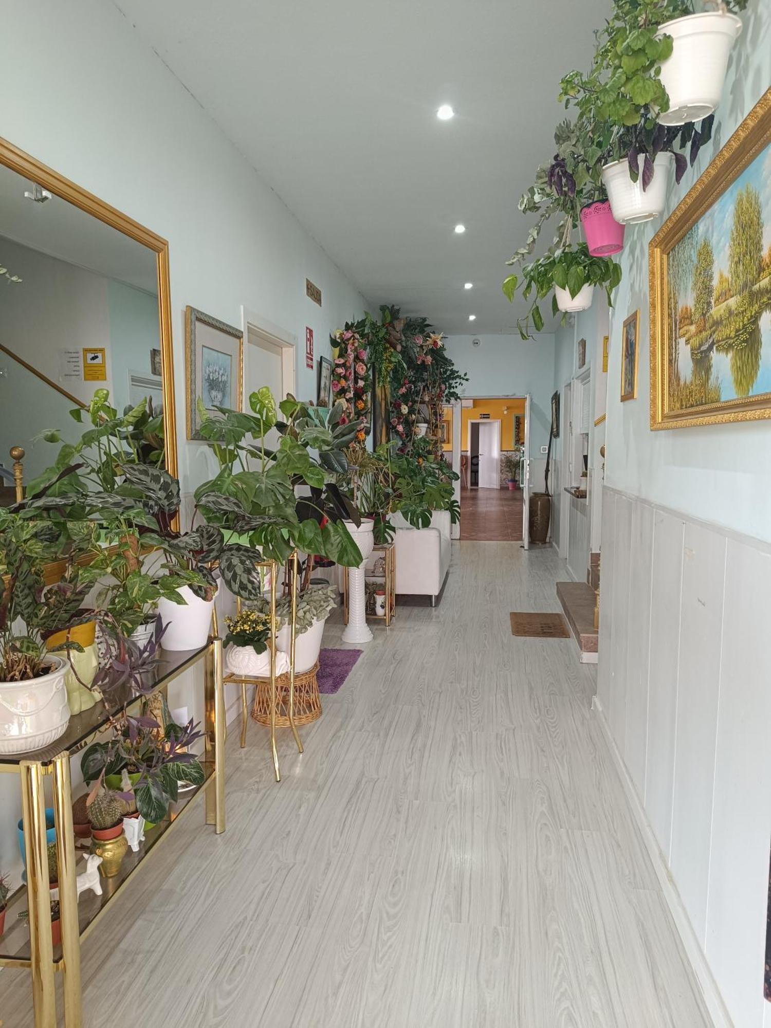 Hostal Fuente Del Pino 胡米利亚 外观 照片