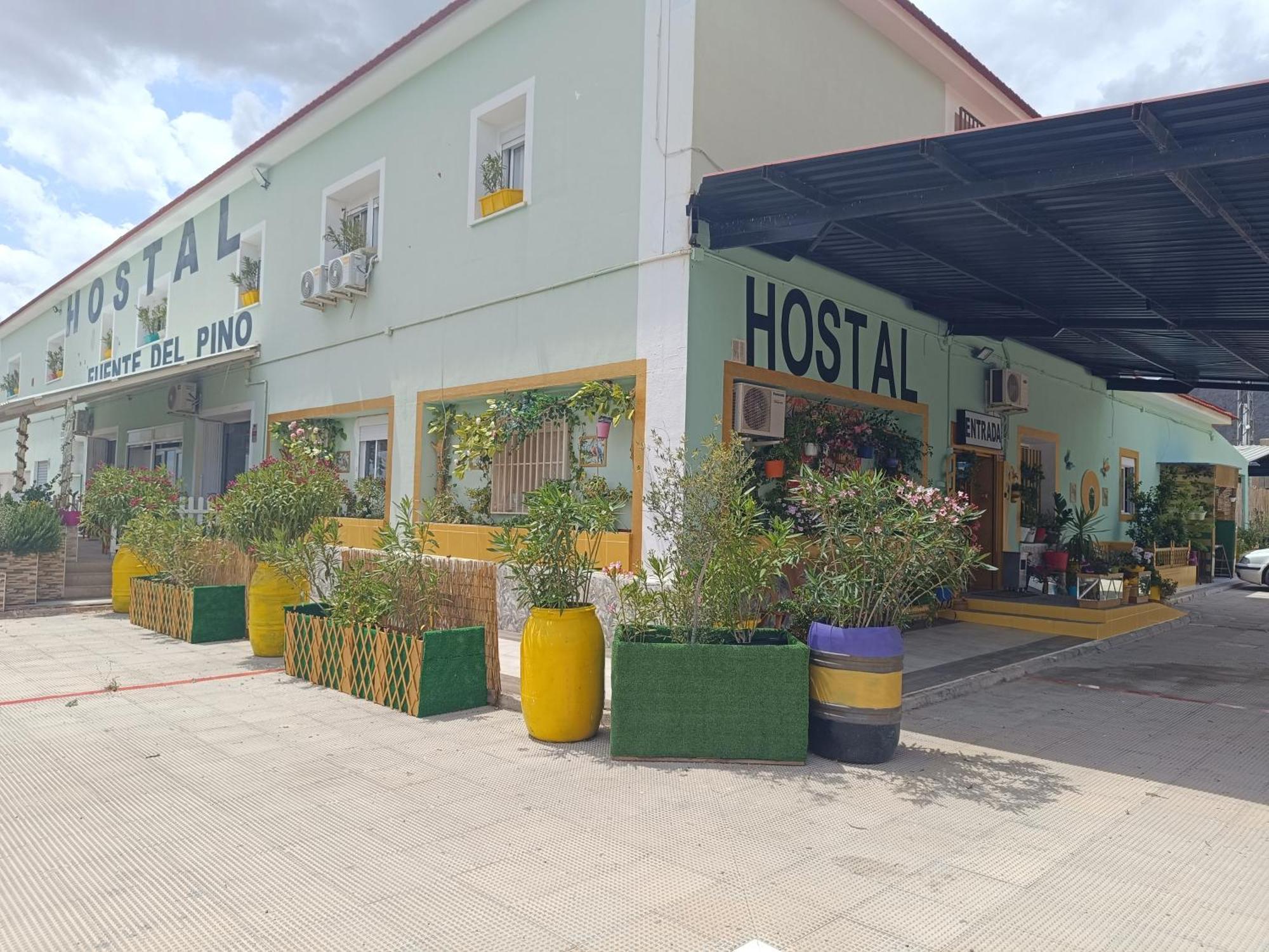 Hostal Fuente Del Pino 胡米利亚 外观 照片
